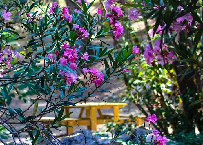 Hostal Rural De Cuadros